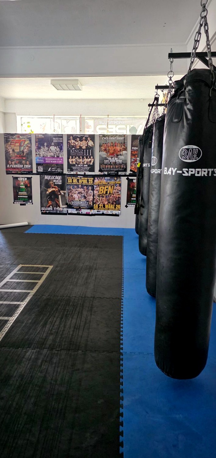 Boxsäcke und Trainingszone im Sports Club Viper