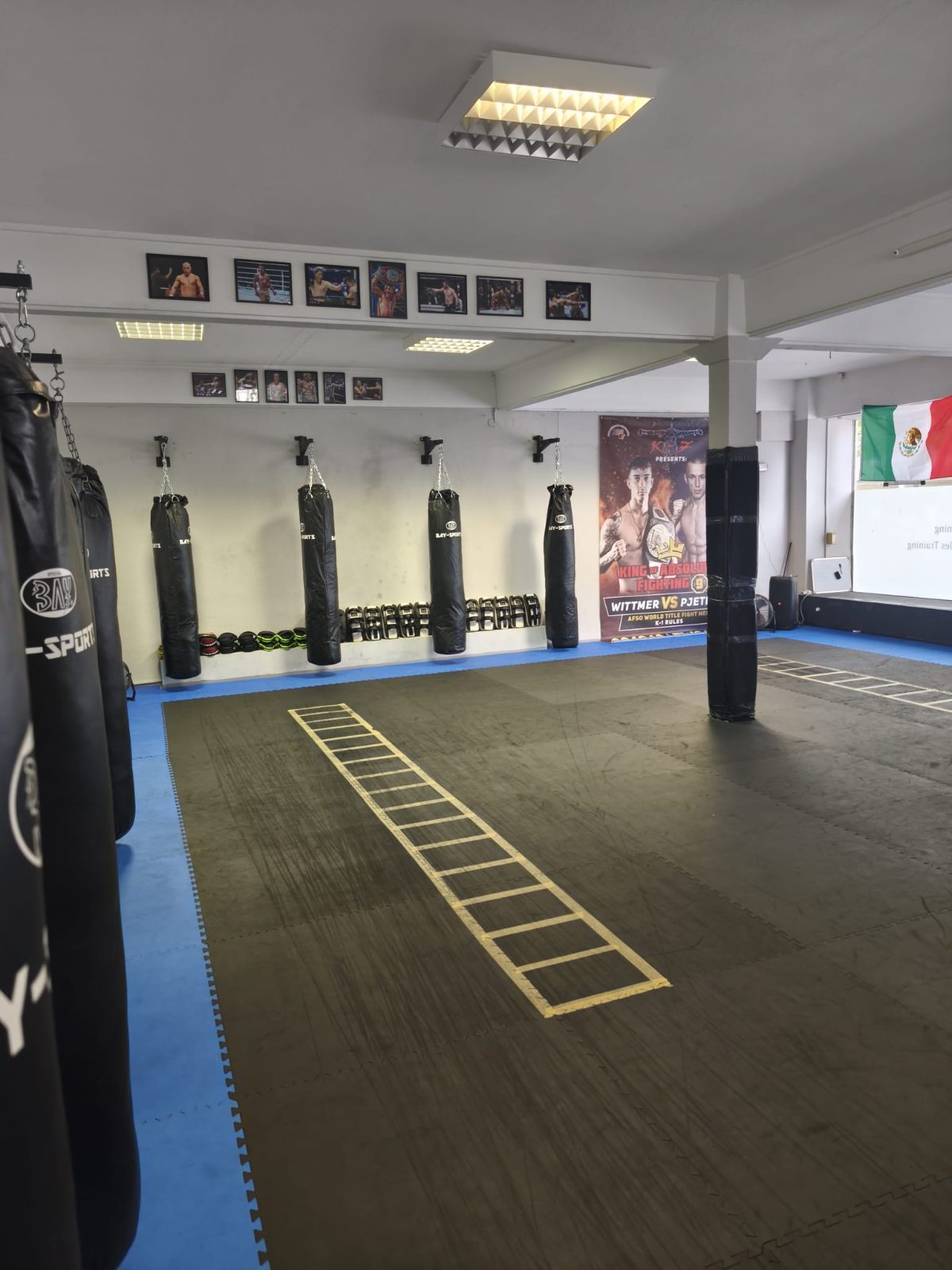 Studio Sports Club Viper